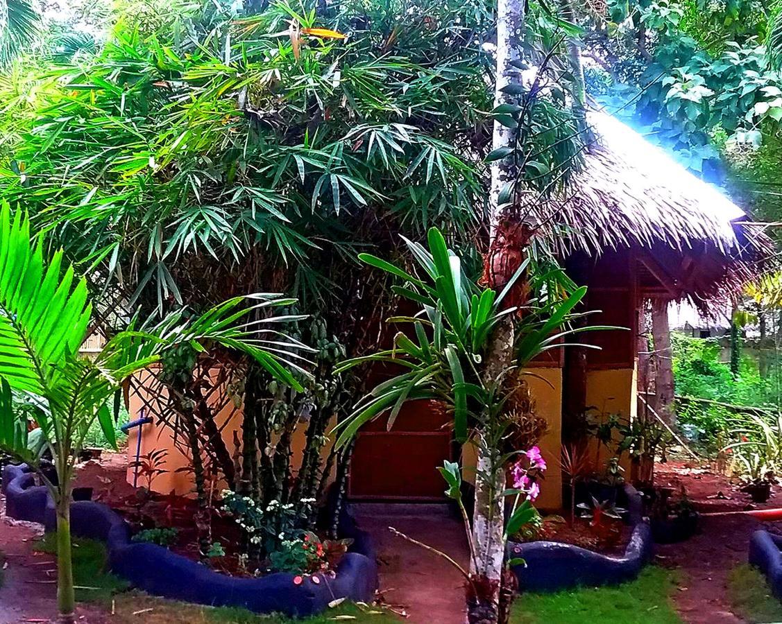 Lennon'S Place Backpacker Hostel Panglao Exterior photo